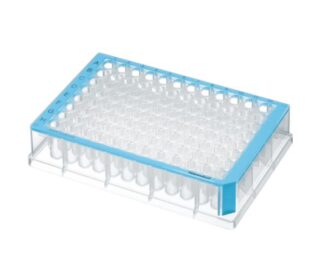 Deepwell Plate 96/500µL